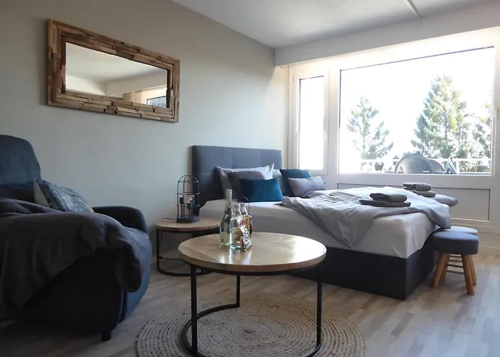 Winterberg Apartment Mountain Suite Pool-Sauna-Terrasse-Hund-4Pers-Bikepark