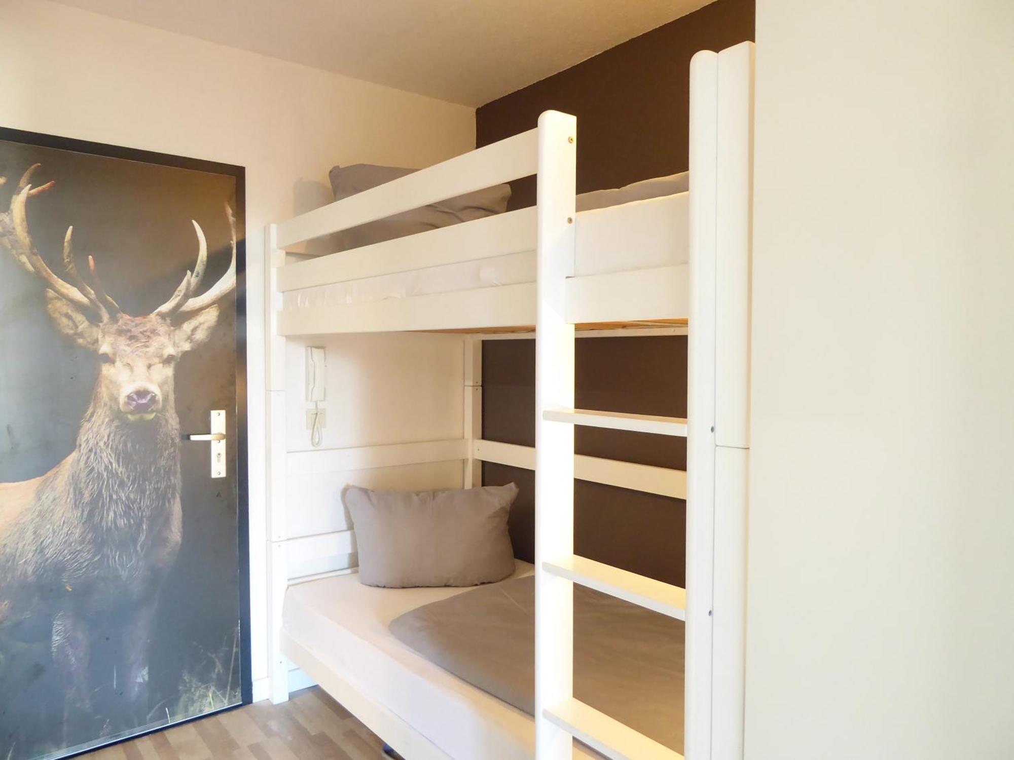 Apartment Mountain Pool-sauna-terrasse-hund-4pers-bikepark Winterberg