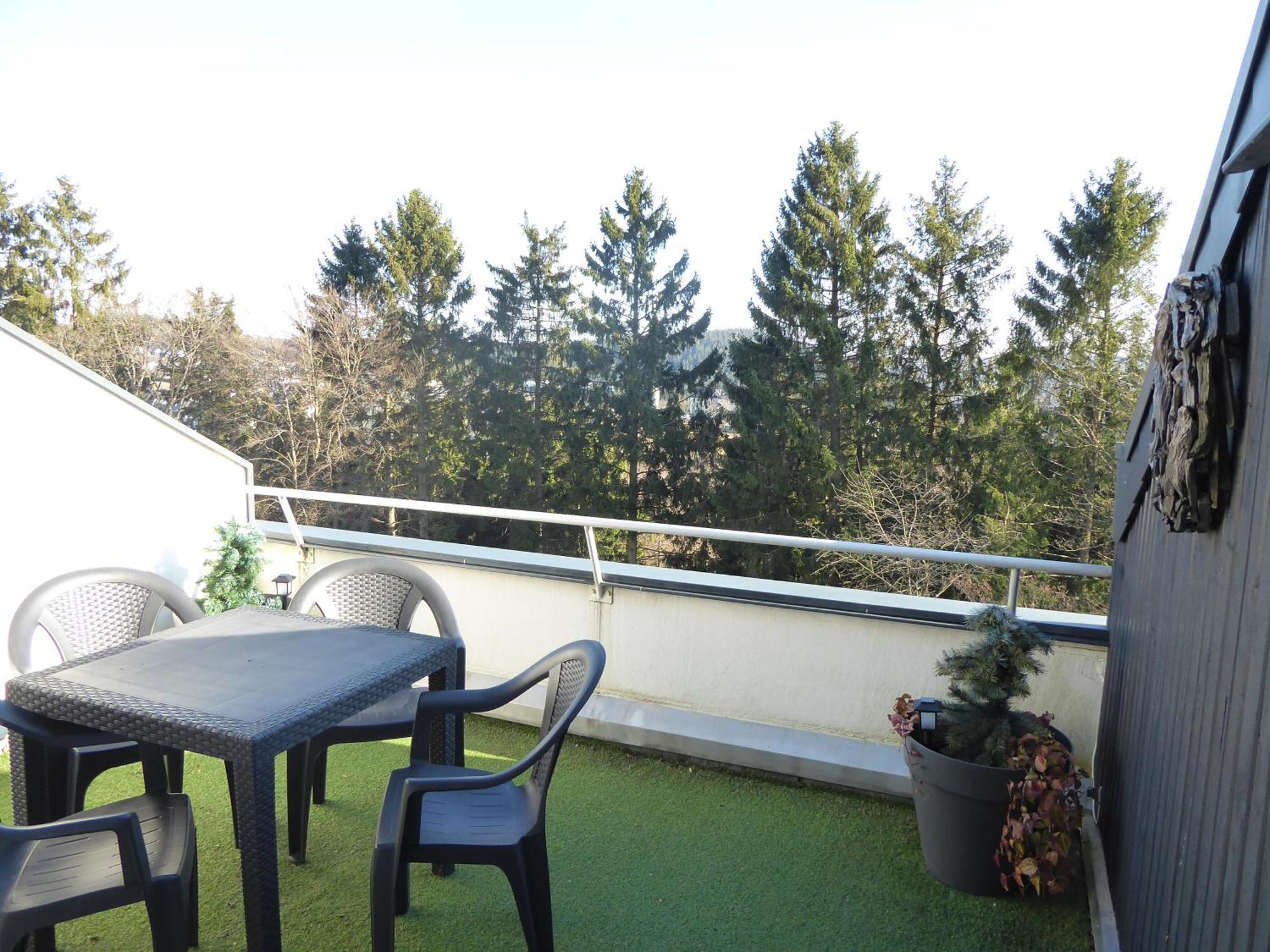Mountain Pool-sauna-terrasse-hund-4pers-bikepark * Winterberg